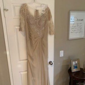 CHRISTINA WU ELEGANCE MOTHER OF THE BRIDE Dress